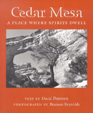Cedar Mesa