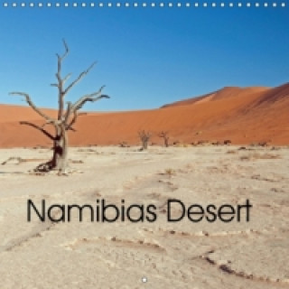 Namibias Desert (Wall Calendar 2015 300 × 300 mm Square)