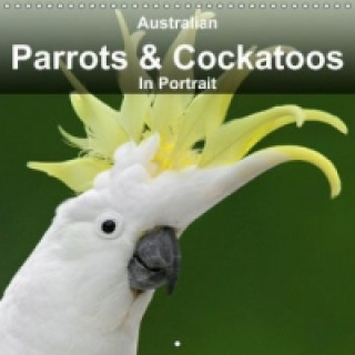 Australian Parrots & Cockatoos In Portrait (Wall Calendar 2015 300 × 300 mm Square)