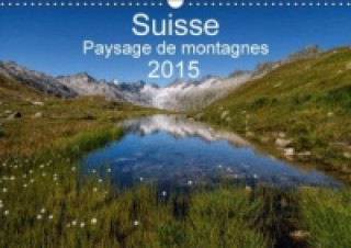 Suisse - Paysage de montagnes 2015 (Calendrier mural 2015 DIN A3 horizontal)
