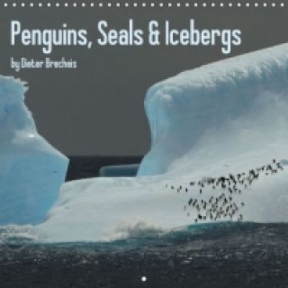Penguins, Seals & Icebergs by Dieter Brecheis (Wall Calendar 2015 300 × 300 mm Square)
