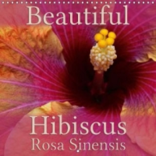 Beautiful Hibiscus Rosa Sinensis (Wall Calendar 2015 300 × 300 mm Square)