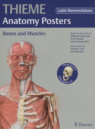 Thieme Anatomy Poster, Latin Nomenclature, Bones and Muscles