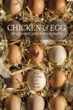 Chicken & Egg