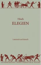 Elegien