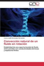 Conveccion natural de un fluido en rotacion