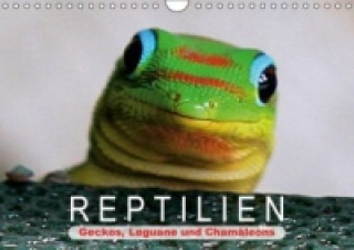 Reptilien Geckos, Leguane und Chamäleons (Wandkalender 2015 DIN A4 quer)