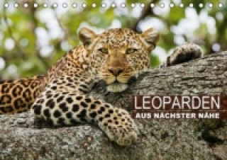 Leoparden aus nächster Nähe (Tischkalender 2015 DIN A5 quer)