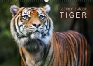 Gestreifte Jäger Tiger (Wandkalender 2015 DIN A3 quer)
