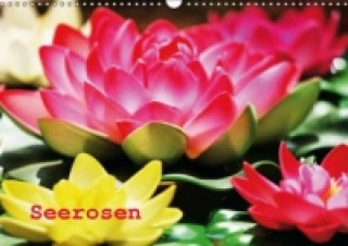 Seerosen (Wandkalender 2015 DIN A3 quer)