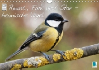 Amsel, Fink & Star heimische Vögel (Wandkalender 2015 DIN A4 quer)