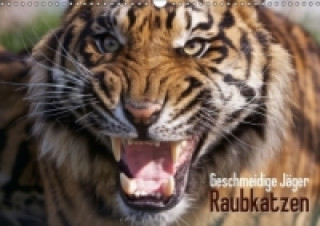 Geschmeidige Jäger: Raubkatzen (Wandkalender 2015 DIN A3 quer)