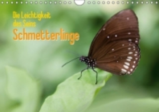 Die Leichtigkeit des Seins Schmetterlinge (Wandkalender 2015 DIN A4 quer)