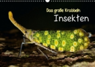 Das große Krabbeln: Insekten (Wandkalender 2015 DIN A3 quer)