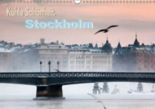 Kühle Schönheit: Stockholm (Wandkalender 2015 DIN A3 quer)