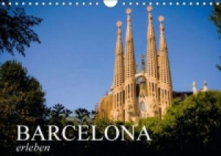 Barcelona erleben (Wandkalender 2015 DIN A4 quer)