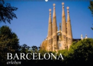 Barcelona erleben (Wandkalender 2015 DIN A2 quer)