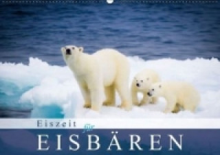 Eiszeit für Eisbären (Wandkalender 2015 DIN A2 quer)