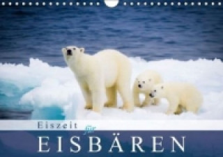 Eiszeit für Eisbären (Wandkalender 2015 DIN A4 quer)