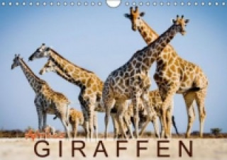 Afrikas Giraffen (Wandkalender 2015 DIN A4 quer)