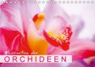 Faszination der Orchideen (Tischkalender 2015 DIN A5 quer)