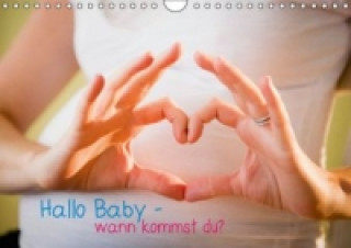 Hallo Baby wann kommst du? (Wandkalender 2015 DIN A4 quer)