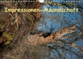 Impressionen-AulandschaftAT-Version (Wandkalender 2015 DIN A4 quer)