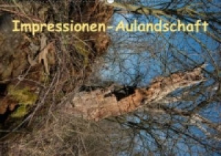 Impressionen-AulandschaftAT-Version (Wandkalender 2015 DIN A2 quer)