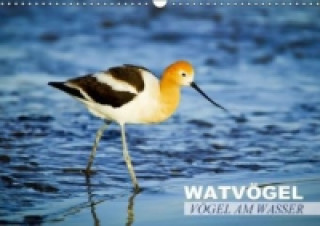 Vögel am Wasser Watvögel (Wandkalender 2015 DIN A3 quer)