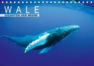 Wale Giganten der Meere (Tischkalender 2015 DIN A5 quer)
