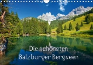 Die schönsten Salzburger BergseenAT-Version (Wandkalender 2015 DIN A4 quer)