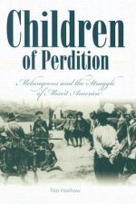 Children Of Perdition: Melungeons And The Struggle Of Mixed America (H705/Mrc)