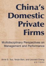 China's Domestic Private Firms: