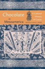 Chocolate in Mesoamerica