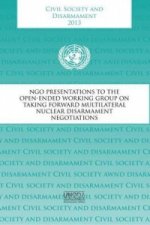 Civil society and disarmament 2013