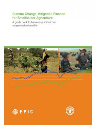 Climate change mitigation finance for smallholder agriculture