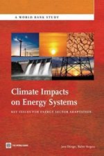 Climate Impacts on Energy Systems