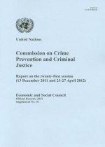 Commission on Crime Prevention and Criminal Justice