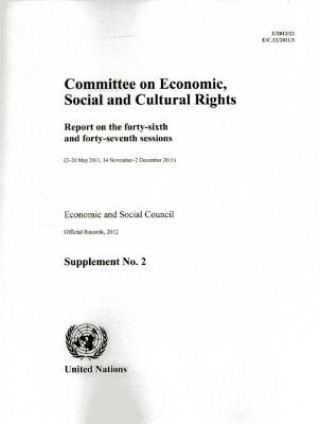 Committee on Economic, Social and Cultural Rights: Report on the Forty-Sixth and Forty-Seventh Sessions