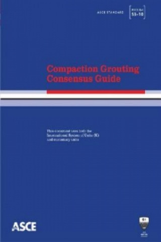 Compaction Grouting Consensus Guide