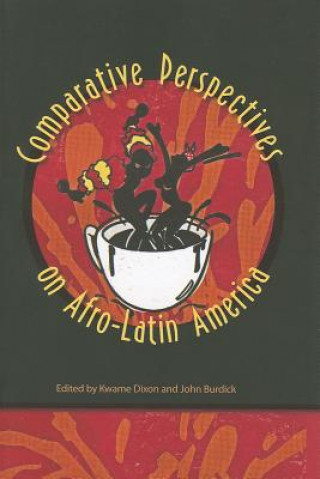 Comparative Perspectives on Afro-Latin America