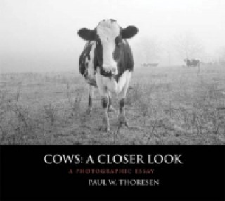Cows: A Closer Look