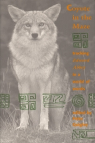 Coyote In The Maze