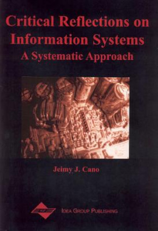 Critical Reflections on Information Systems