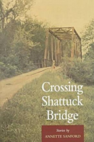 Crossing Shattuck Bridge