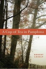 Cup of Tea in Pamplona