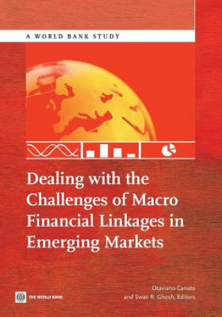 Dealing with the challenges of macro financial linkages in emerging markets