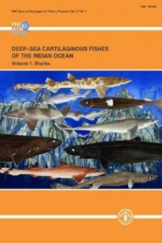 Deep-sea cartilaginous fishes of the Indian Ocean