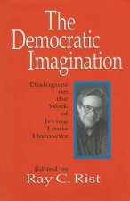 Democratic Imagination