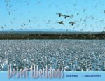 Desert Wetlands